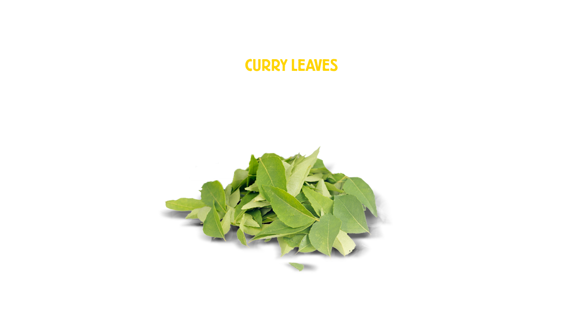 Curry Leaves